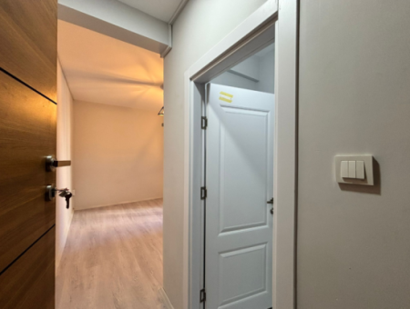 Studio-Vermietung Arbeitsplatz/Büro In Der Nähe Von Alsancak, Kordon Und Mövenpiç