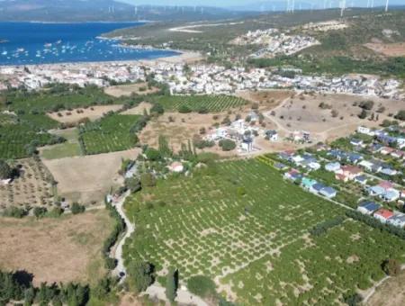 6.474 M² Mandarinengarten In Seferihisar Siğacik Karagöl – Ort Taşdibi