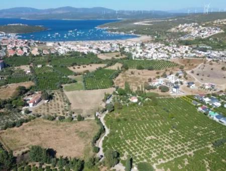 6.474 M² Mandarinengarten In Seferihisar Siğacik Karagöl – Ort Taşdibi