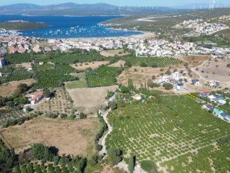 6.474 M² Mandarinengarten In Seferihisar Siğacik Karagöl – Ort Taşdibi