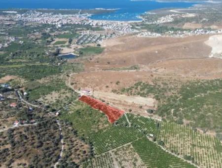 4,915 M² Tangerine Orchard Zum Verkauf In Seferihisar Sığacık Taşdibi