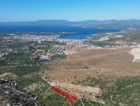 4,915 M² Tangerine Orchard Zum Verkauf In Seferihisar Sığacık Taşdibi