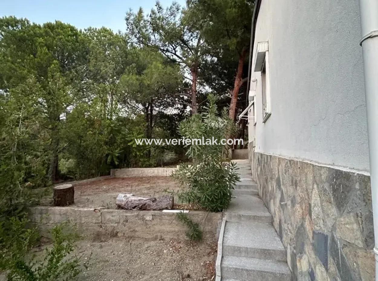 Ready To Session! Sea View Cottage In Dogankent