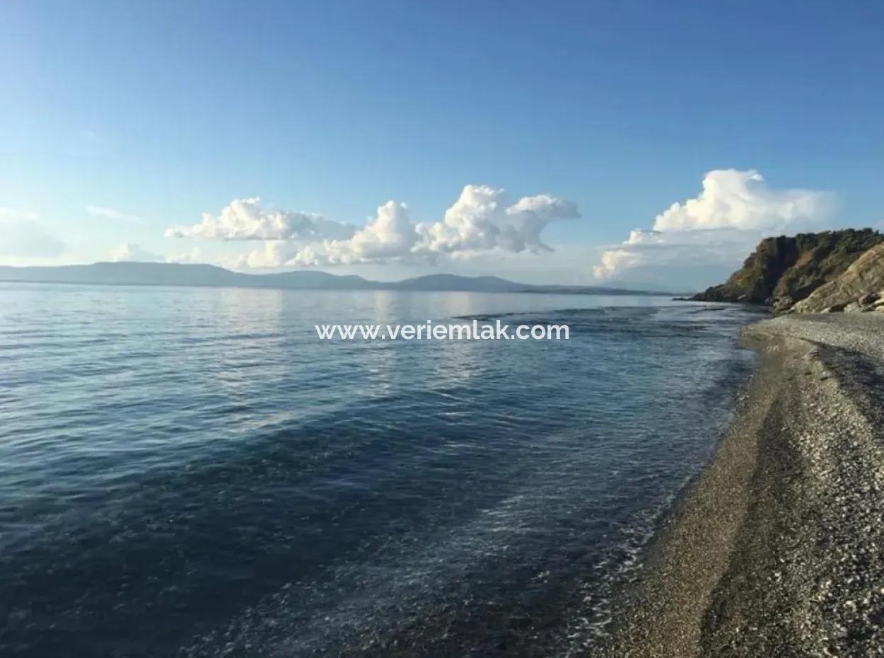 Ready To Session! Sea View Cottage In Dogankent