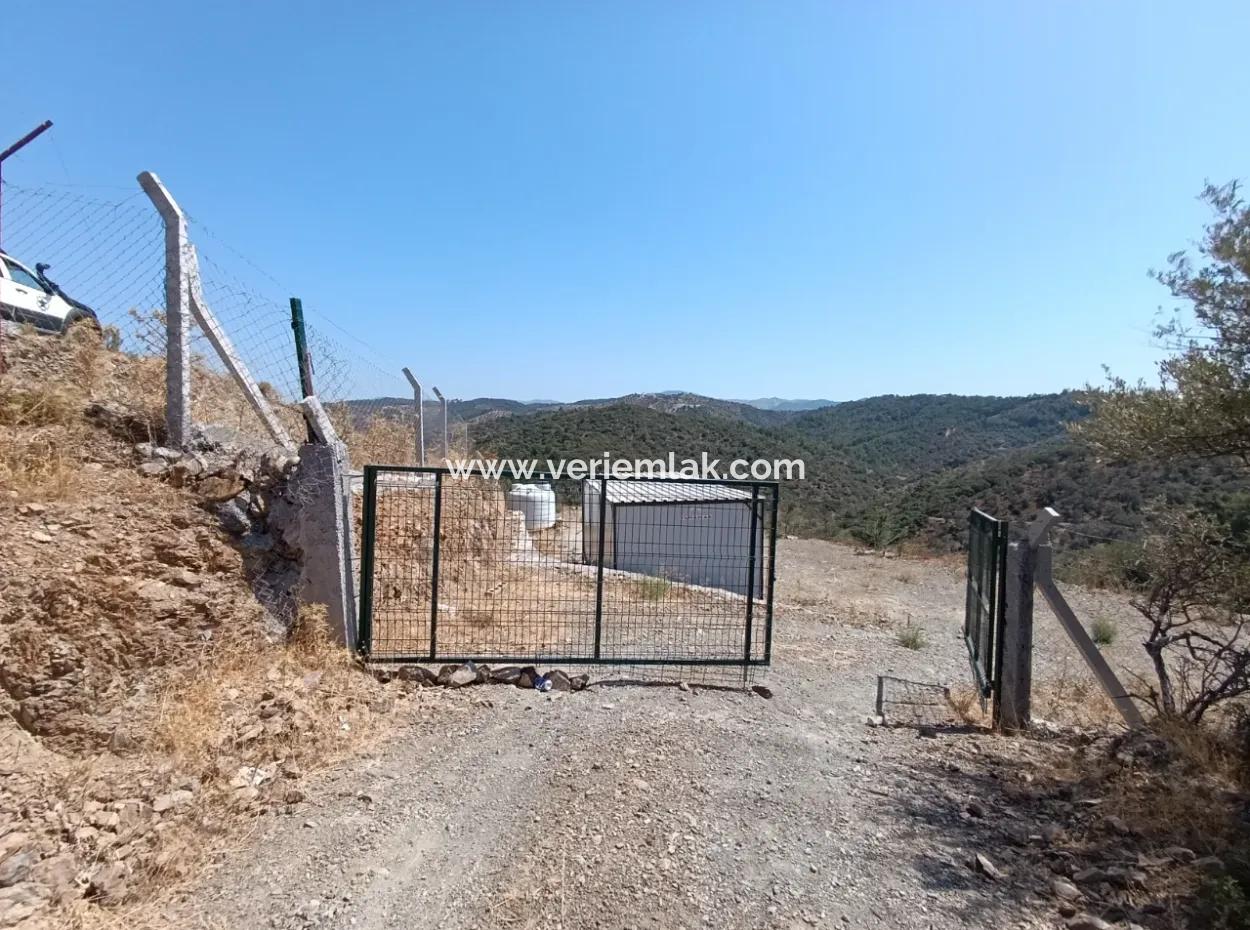 On The Way To Seferihisar Ulamış, Investment Opportunity! 1700 M² Olive Grove Plot With Panoramic View
