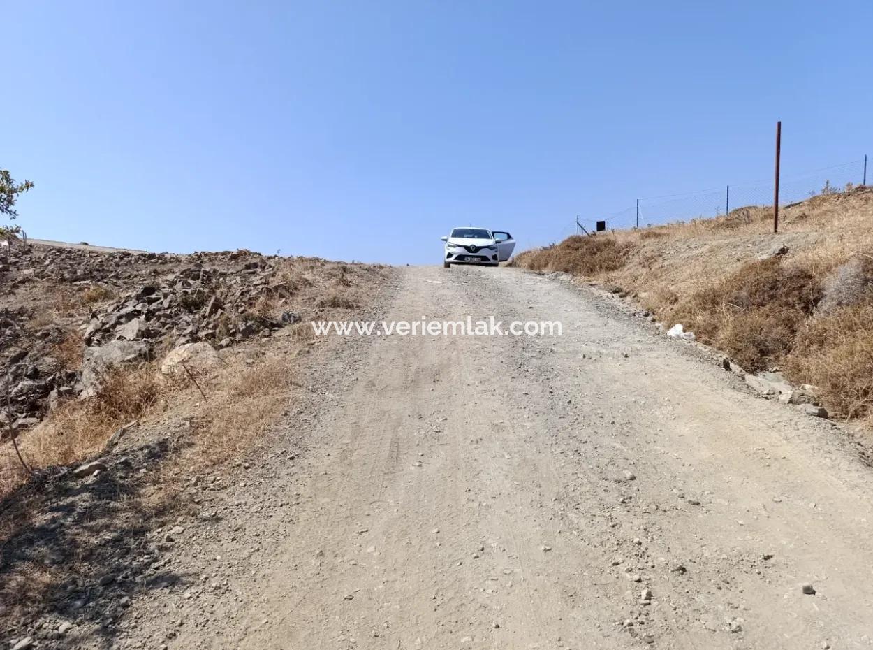 On The Way To Seferihisar Ulamış, Investment Opportunity! 1700 M² Olive Grove Plot With Panoramic View