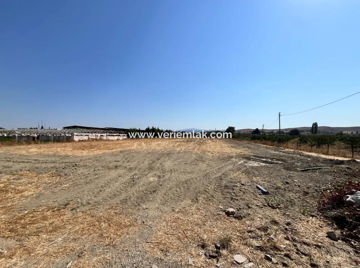 5300 M² Land Suitable For Efficient Agriculture And Animal Husbandry In Seferihisar Düzce District!