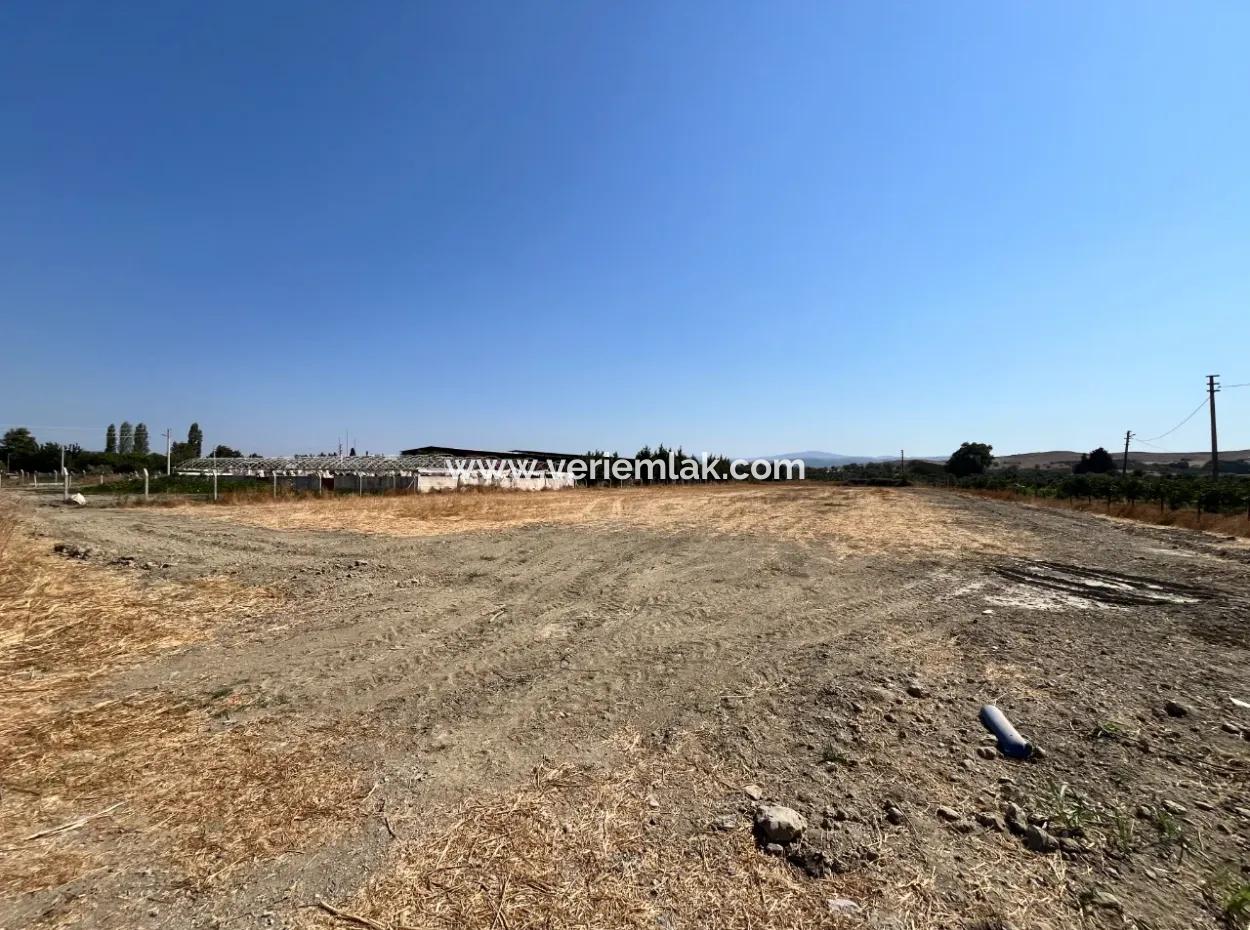 5300 M² Land Suitable For Efficient Agriculture And Animal Husbandry In Seferihisar Düzce District!