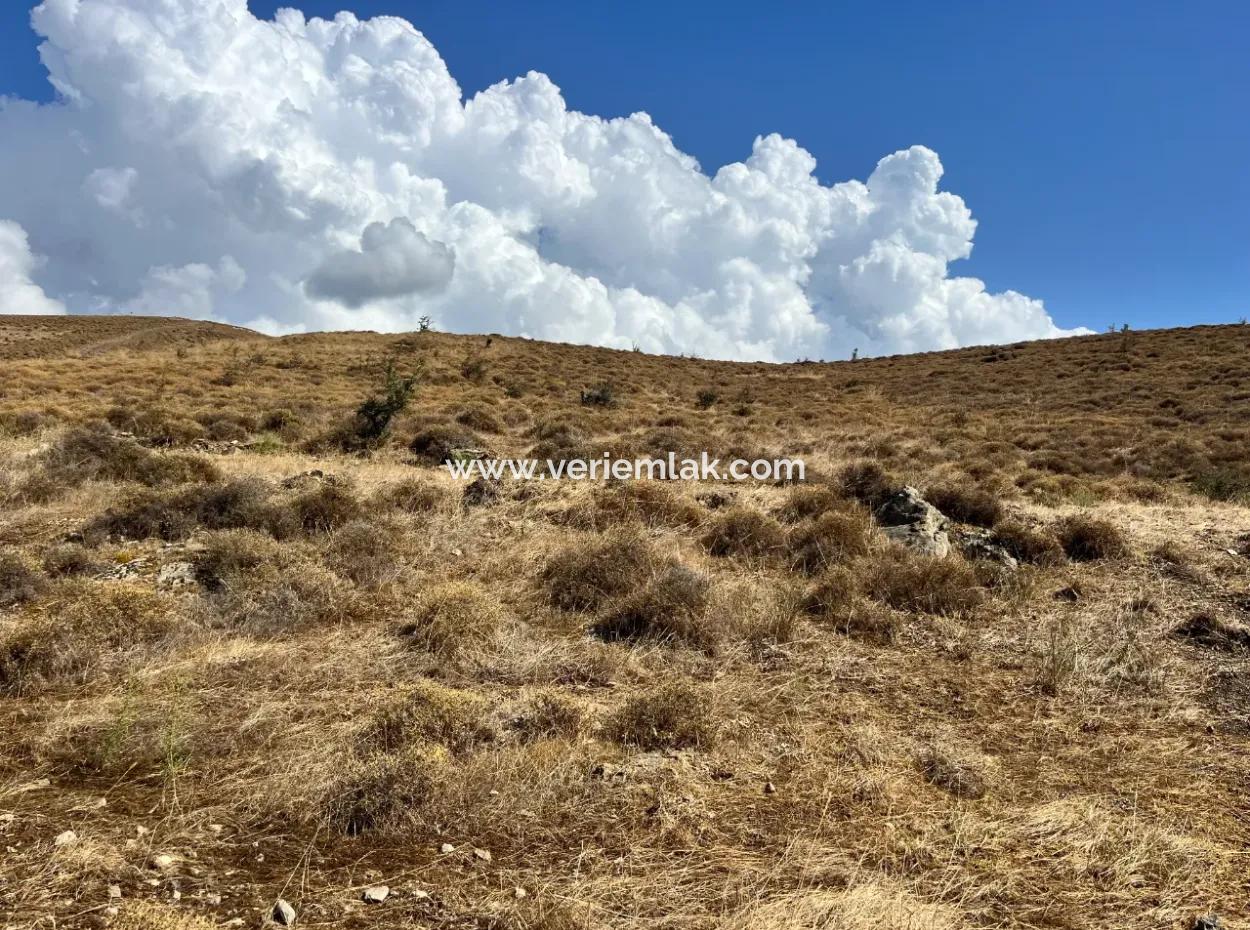 The Rising Star Of Seferihisar: 600M² Land For Sale In Çolakibrahimbey District!