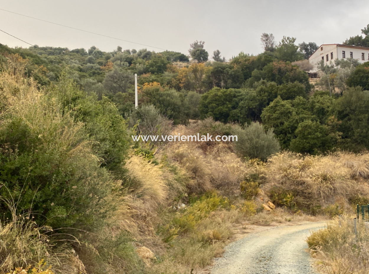 516M2 Plot For Sale Corner Location In Seferihisar Old Orhanli Village