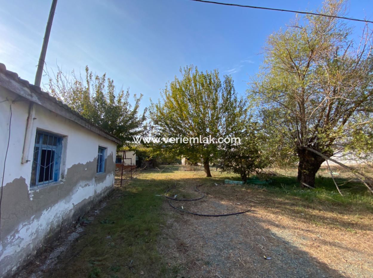 12.200 M2 Field For Sale Suitable For Agriculture In Seferihisar Düzce Neighborhood