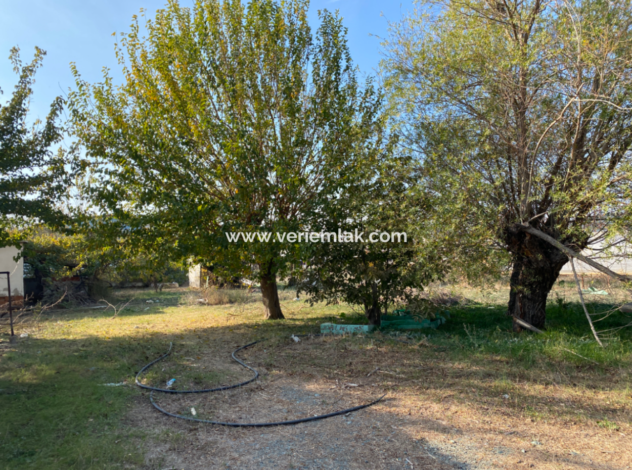 12.200 M2 Field For Sale Suitable For Agriculture In Seferihisar Düzce Neighborhood