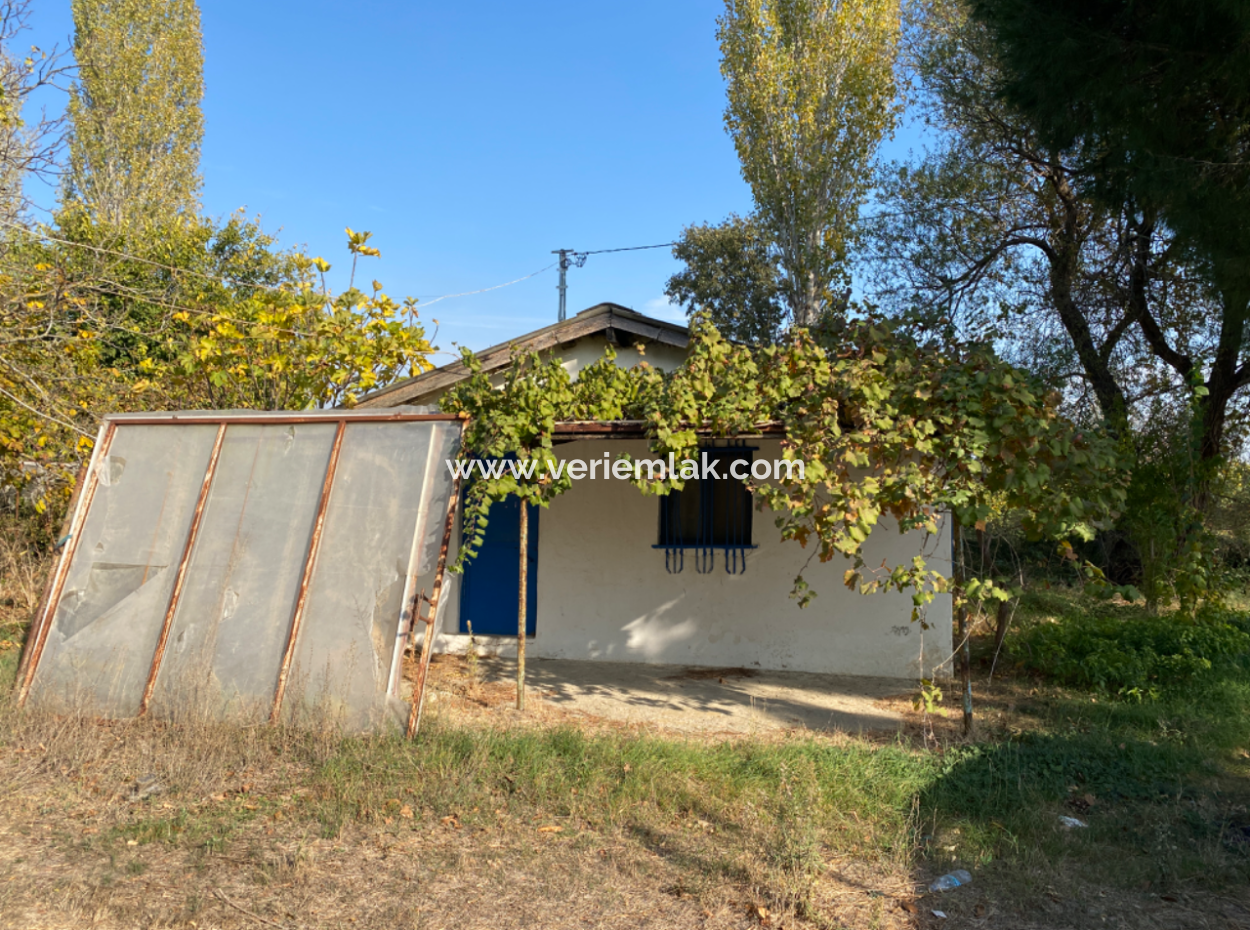 12.200 M2 Field For Sale Suitable For Agriculture In Seferihisar Düzce Neighborhood