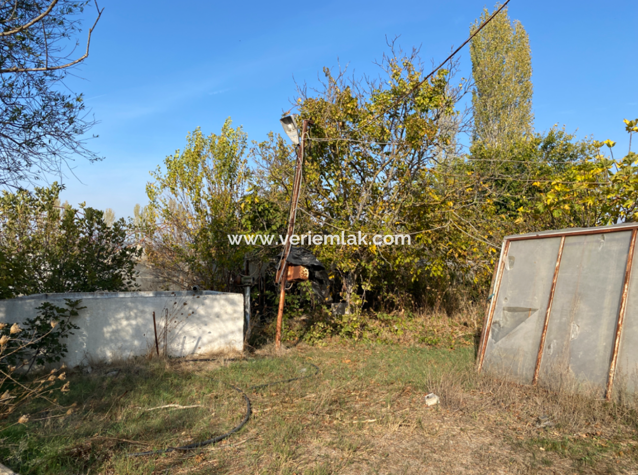 12.200 M2 Field For Sale Suitable For Agriculture In Seferihisar Düzce Neighborhood
