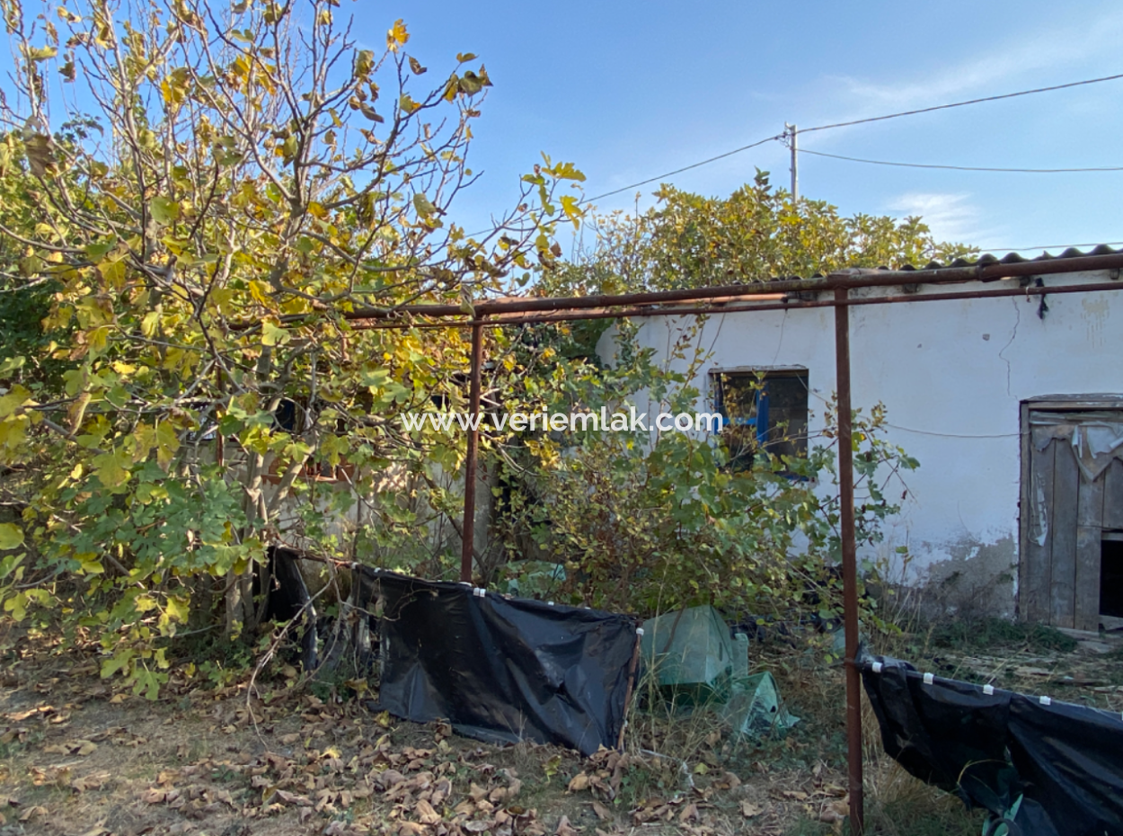 12.200 M2 Field For Sale Suitable For Agriculture In Seferihisar Düzce Neighborhood