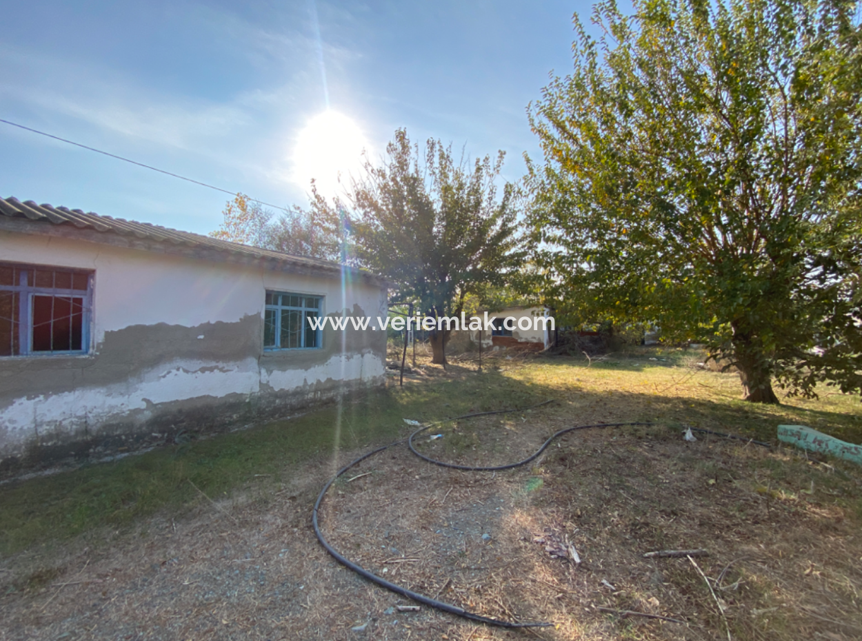 12.200 M2 Field For Sale Suitable For Agriculture In Seferihisar Düzce Neighborhood