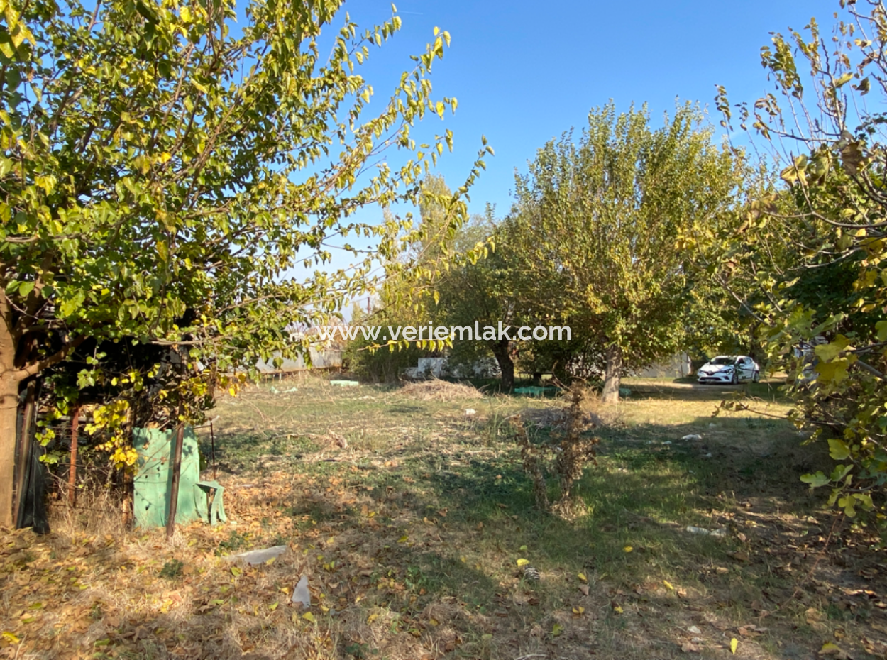 12.200 M2 Field For Sale Suitable For Agriculture In Seferihisar Düzce Neighborhood
