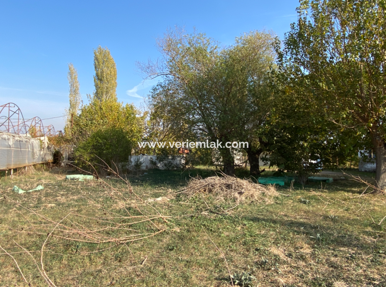 12.200 M2 Field For Sale Suitable For Agriculture In Seferihisar Düzce Neighborhood