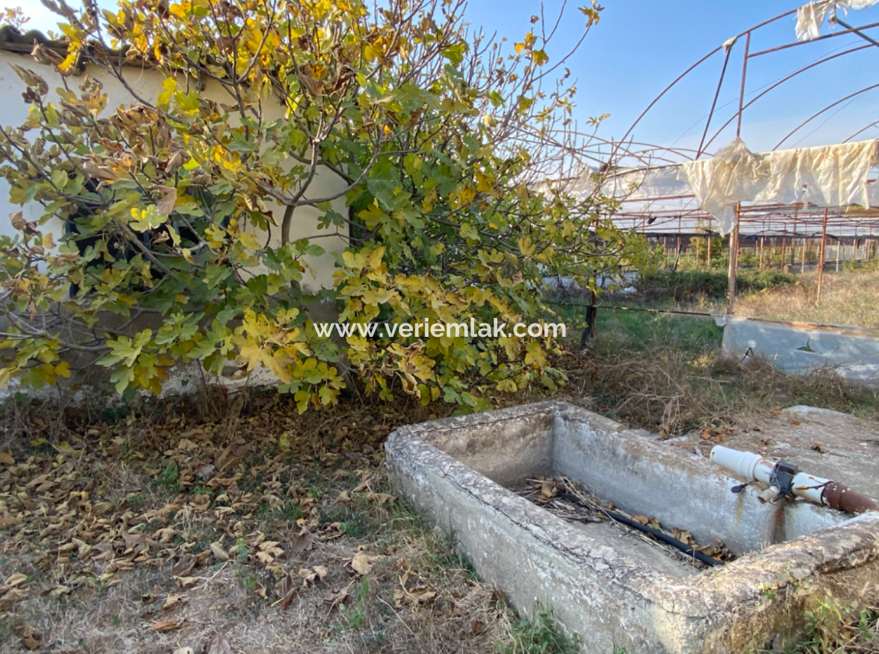 12.200 M2 Field For Sale Suitable For Agriculture In Seferihisar Düzce Neighborhood