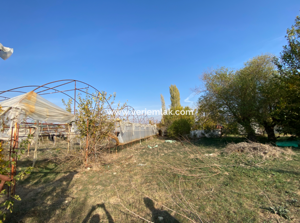 12.200 M2 Field For Sale Suitable For Agriculture In Seferihisar Düzce Neighborhood