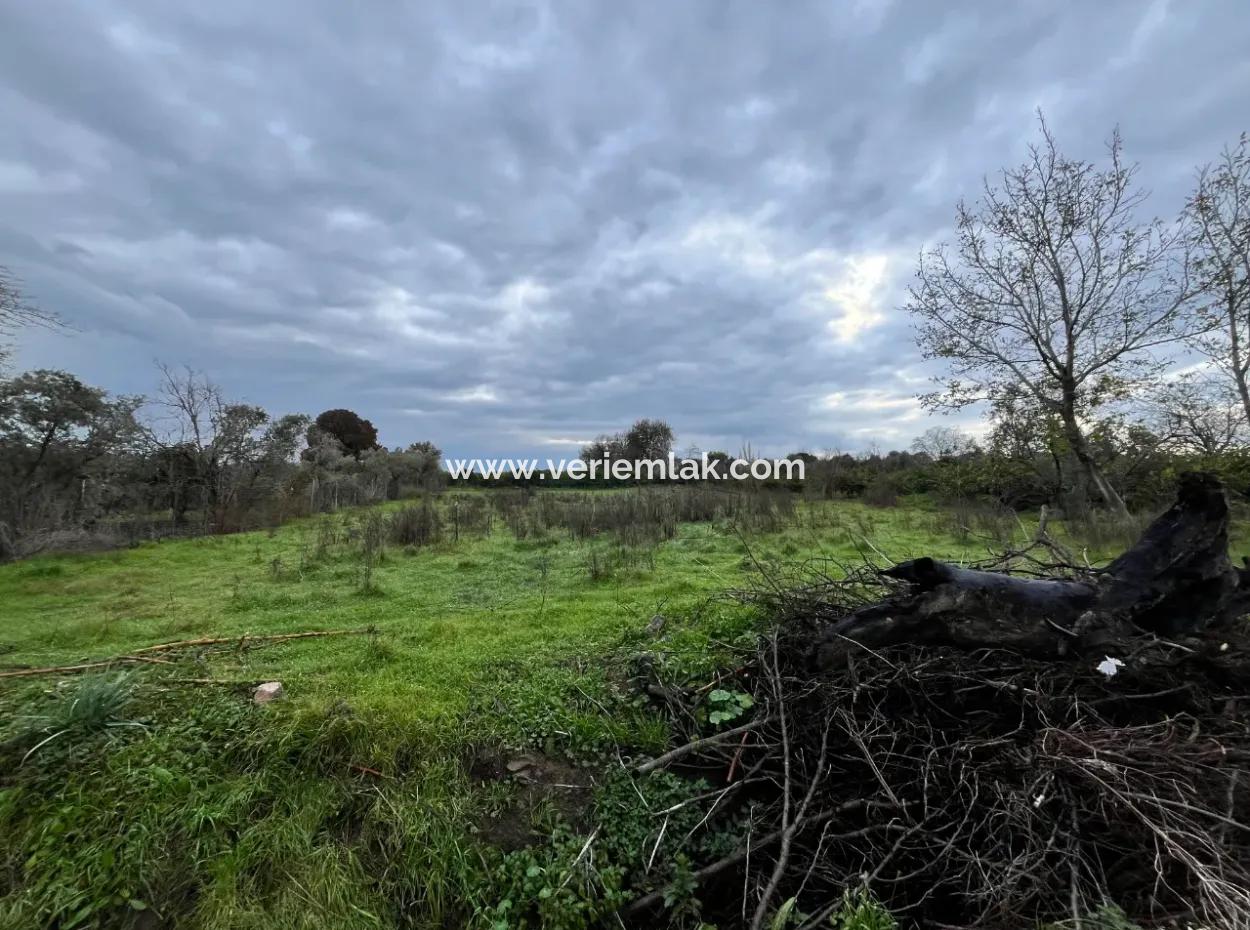 Land For Sale In Seferihisar Hidirlik: Investment Opportunity In Fertile Lands!