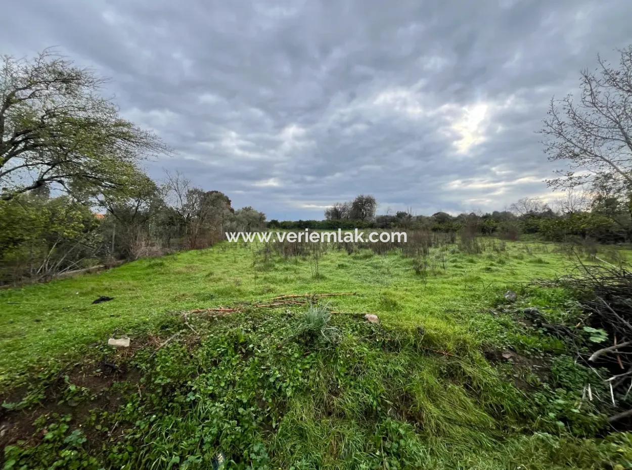 Land For Sale In Seferihisar Hidirlik: Investment Opportunity In Fertile Lands!