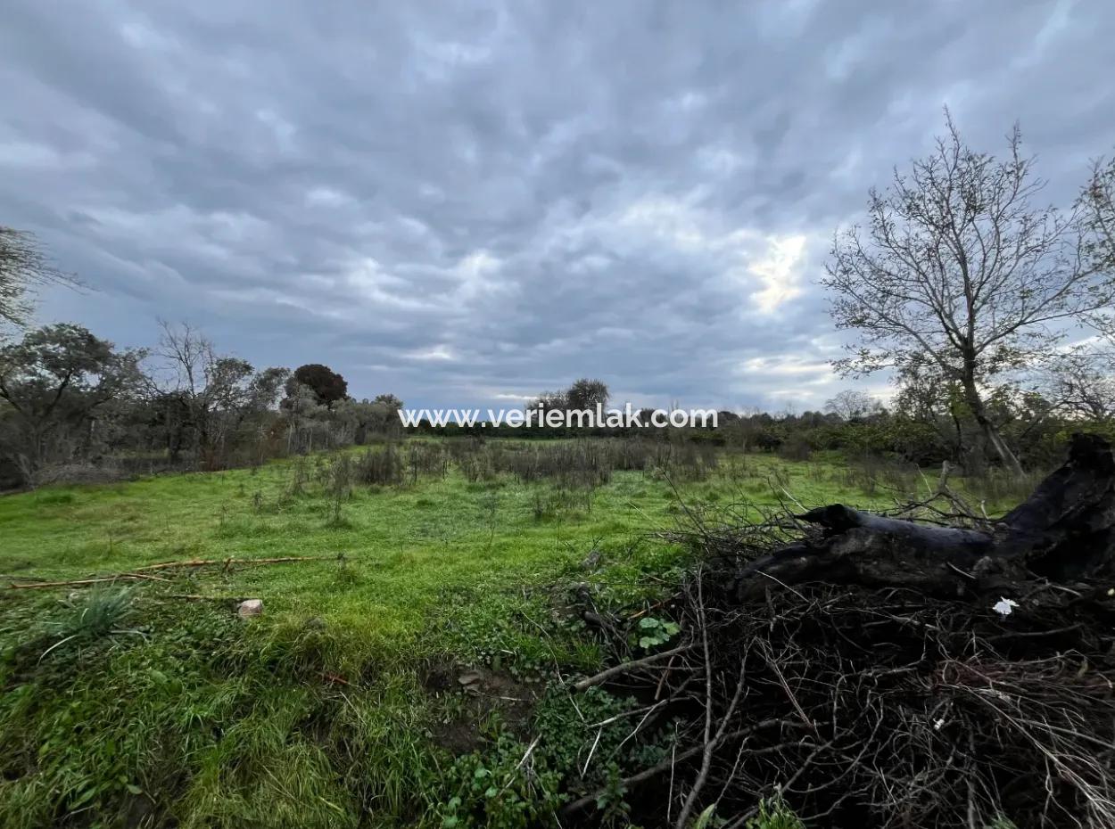 Land For Sale In Seferihisar Hidirlik: Investment Opportunity In Fertile Lands!