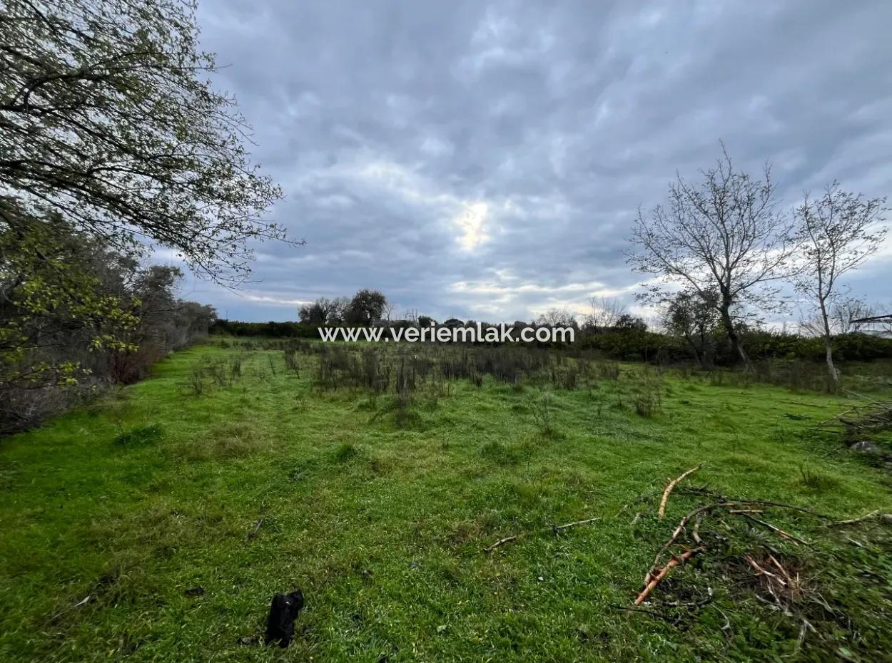 Land For Sale In Seferihisar Hidirlik: Investment Opportunity In Fertile Lands!