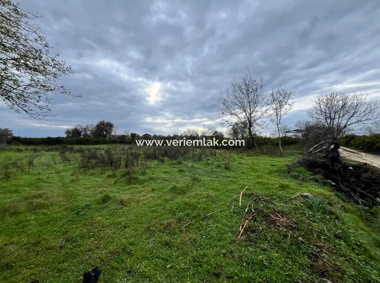 Land For Sale In Seferihisar Hidirlik: Investment Opportunity In Fertile Lands!