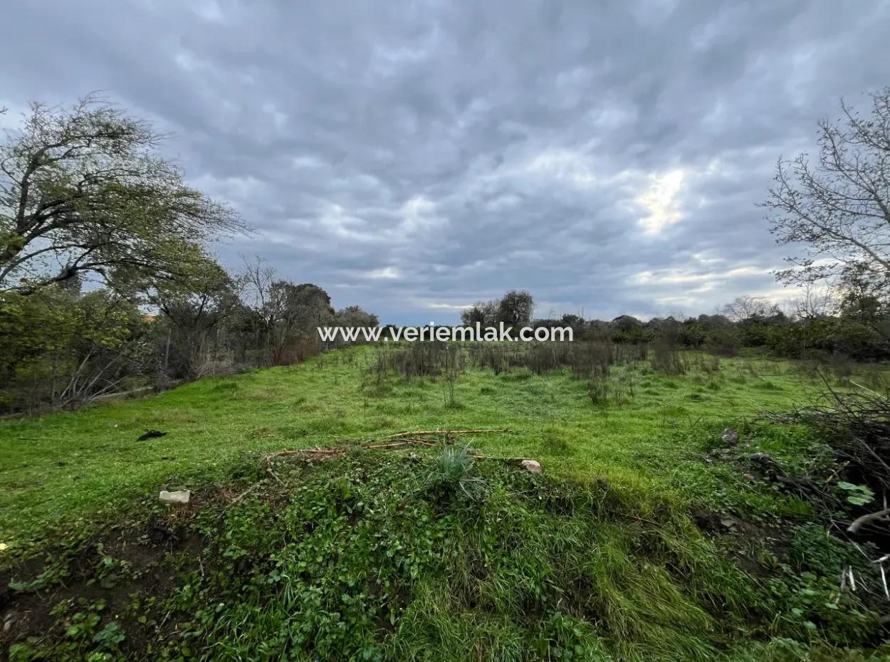 Land For Sale In Seferihisar Hidirlik: Investment Opportunity In Fertile Lands!