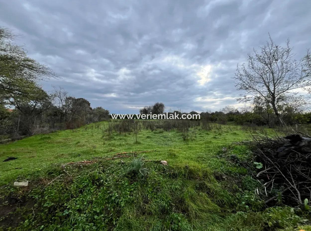 Land For Sale In Seferihisar Hidirlik: Investment Opportunity In Fertile Lands!