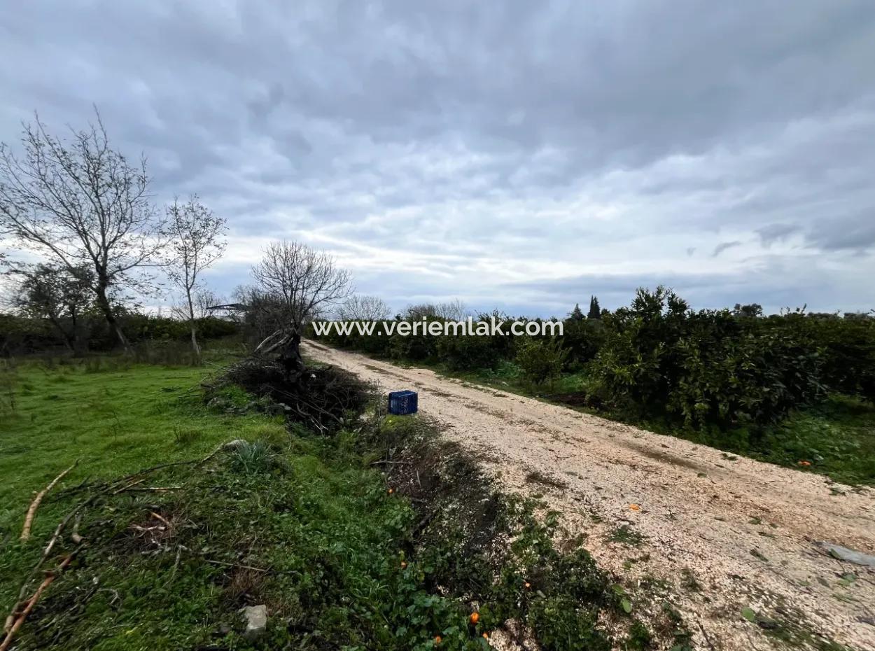 Land For Sale In Seferihisar Hidirlik: Investment Opportunity In Fertile Lands!