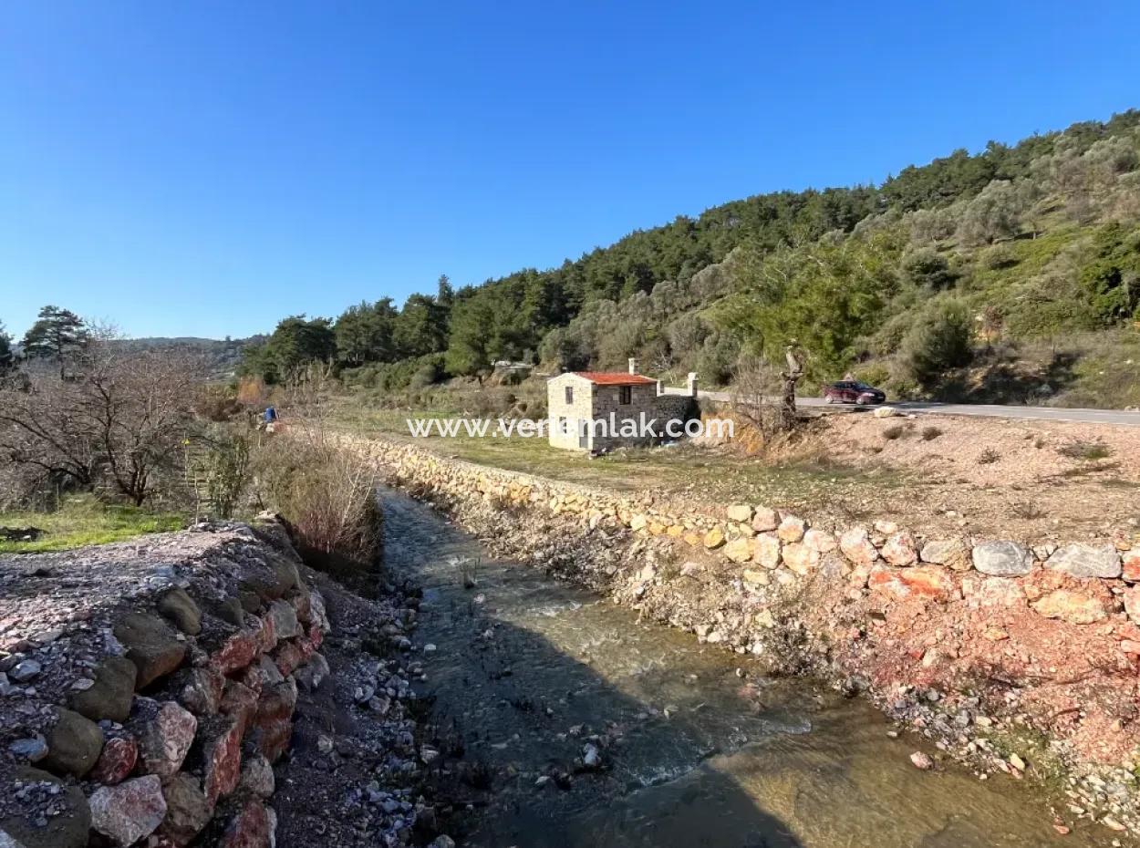 Stone House And Olive Grove In 1800 M² Plot In Seferihisar Kavakdere
