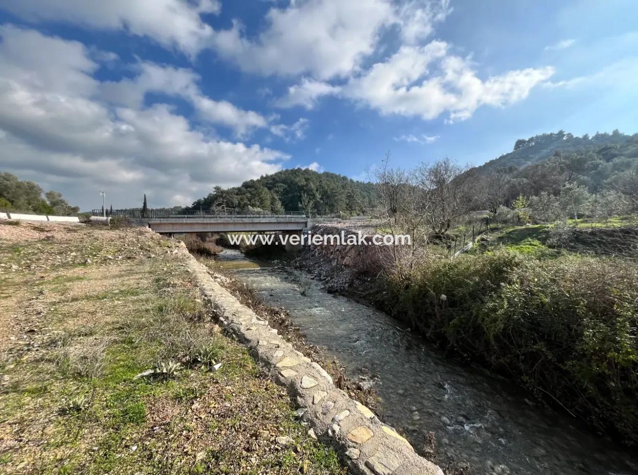 Stone House And Olive Grove In 1800 M² Plot In Seferihisar Kavakdere