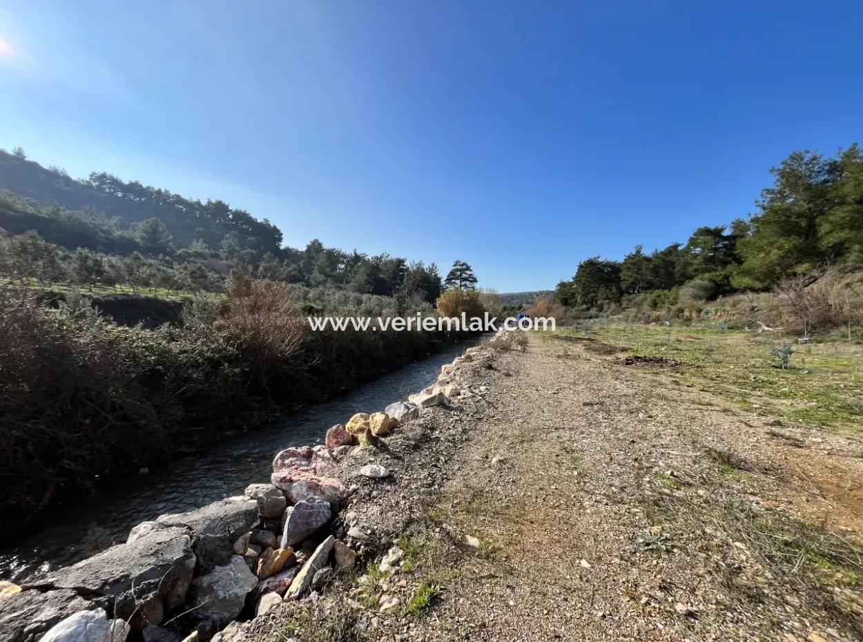 Stone House And Olive Grove In 1800 M² Plot In Seferihisar Kavakdere