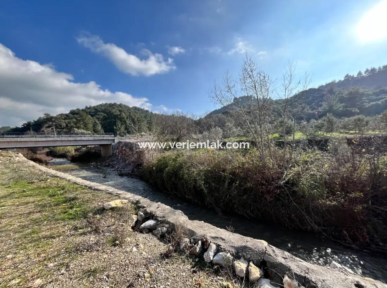 Stone House And Olive Grove In 1800 M² Plot In Seferihisar Kavakdere