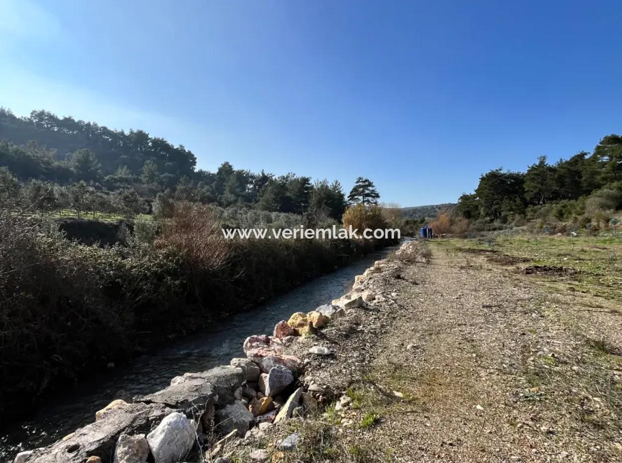 Stone House And Olive Grove In 1800 M² Plot In Seferihisar Kavakdere