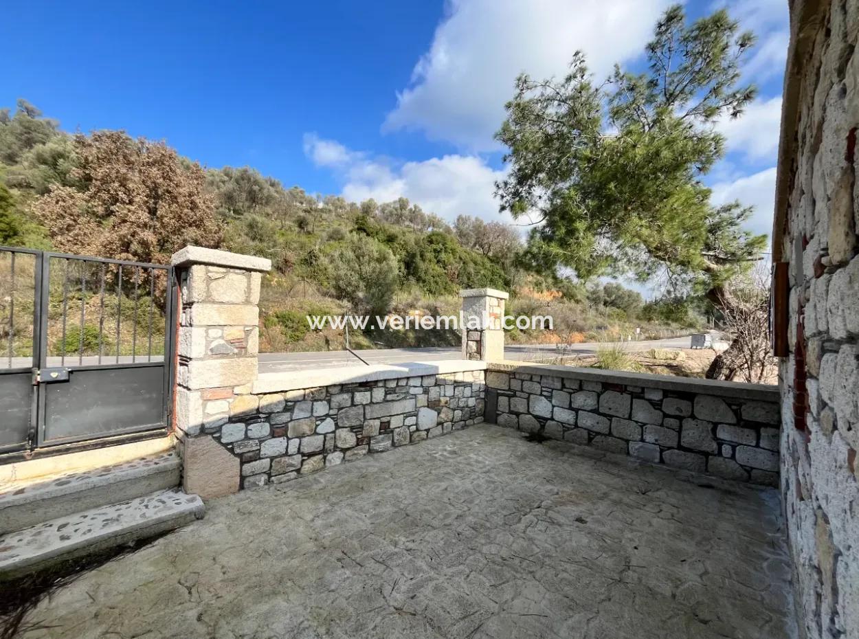 Stone House And Olive Grove In 1800 M² Plot In Seferihisar Kavakdere