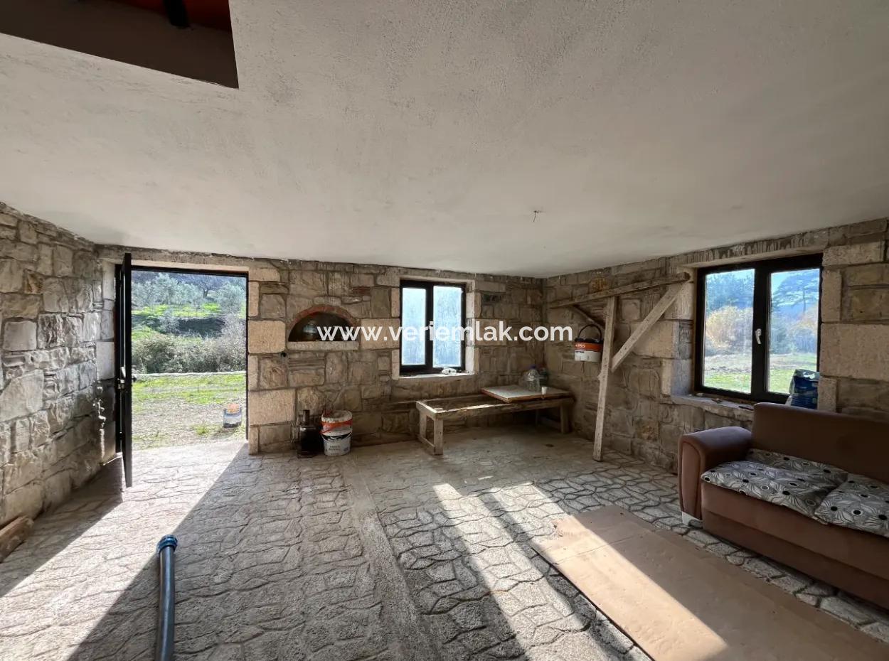Stone House And Olive Grove In 1800 M² Plot In Seferihisar Kavakdere