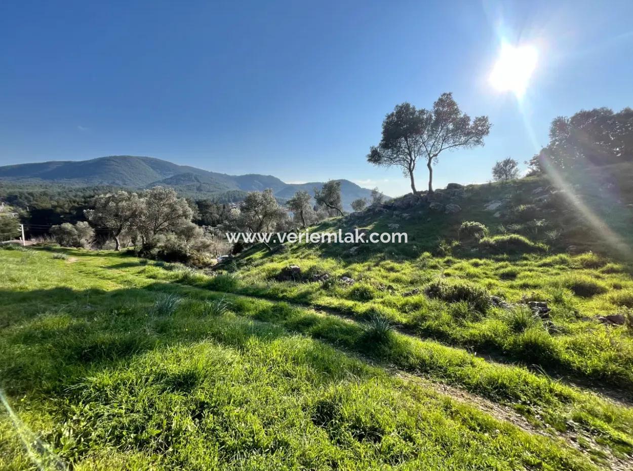 10.000 M² Cadastral Road Front, Panoramic Nature View Land For Sale In Orhanlı, Seferihisar