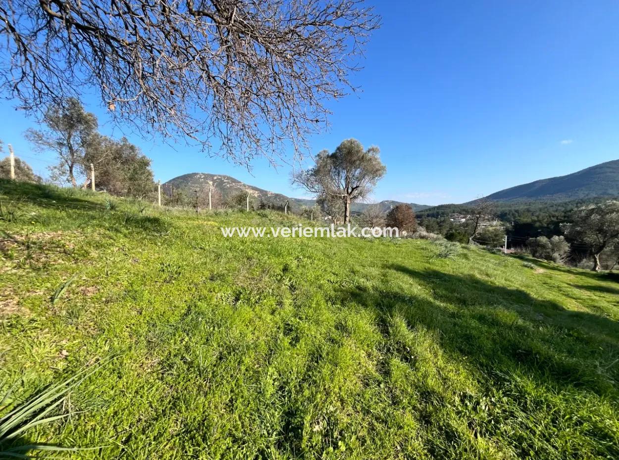 10.000 M² Cadastral Road Front, Panoramic Nature View Land For Sale In Orhanlı, Seferihisar