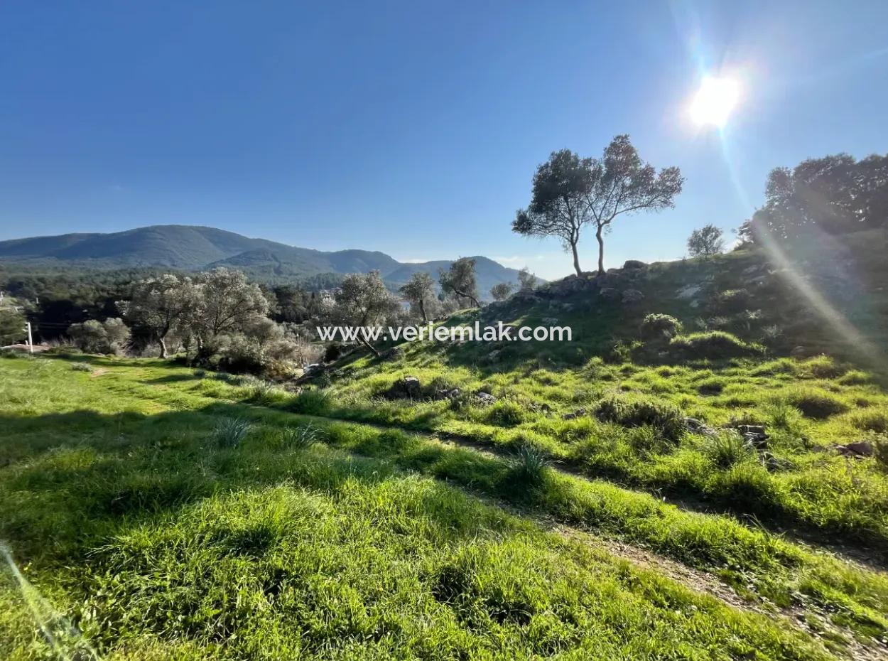 10.000 M² Cadastral Road Front, Panoramic Nature View Land For Sale In Orhanlı, Seferihisar