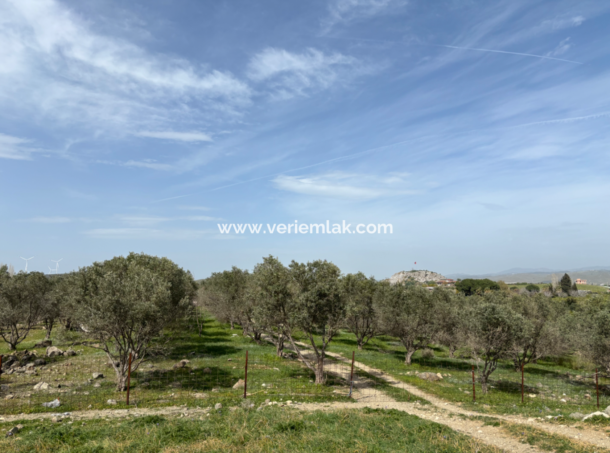 8574 M2 Field For Sale With Sea View In Seferihisar Hidirlik Neighborhood