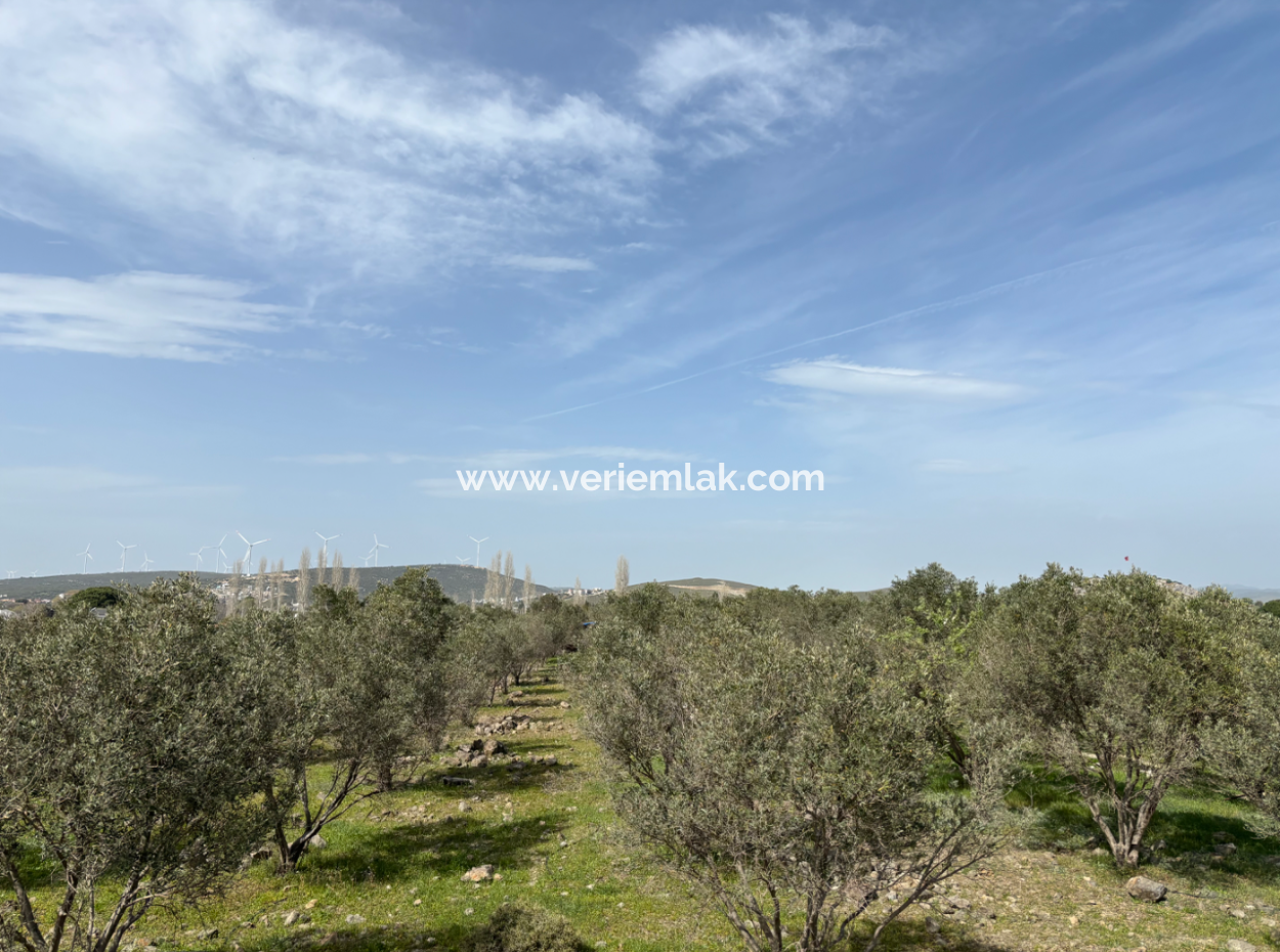 8574 M2 Field For Sale With Sea View In Seferihisar Hidirlik Neighborhood