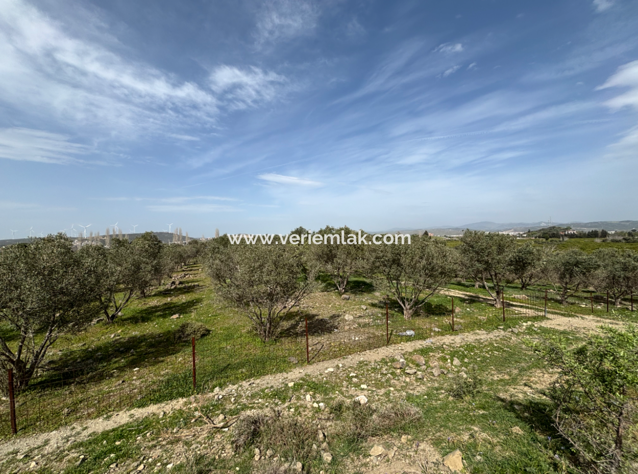 8574 M2 Field For Sale With Sea View In Seferihisar Hidirlik Neighborhood