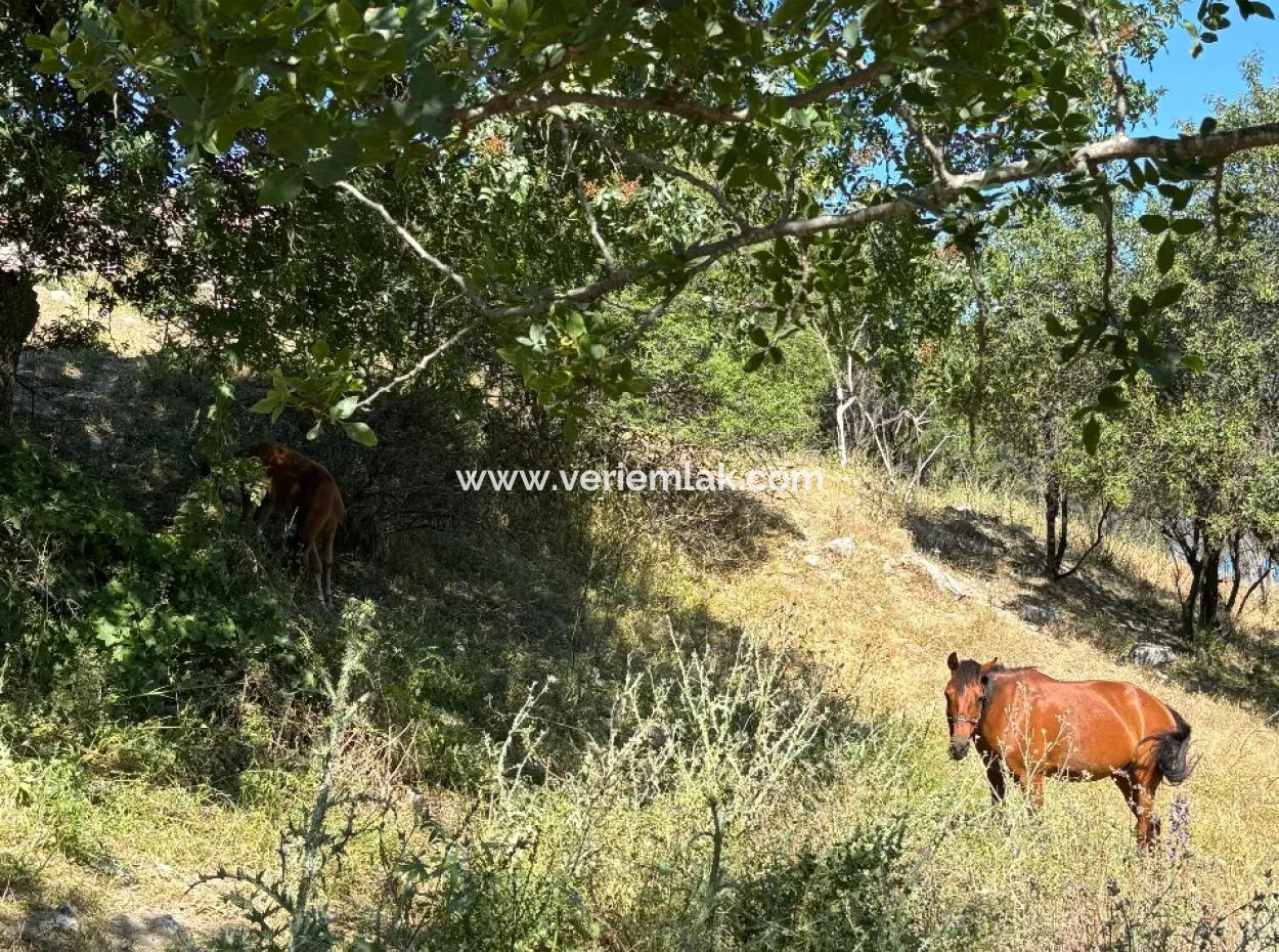 New Zoning Past In Doğanbey Atatürk District, Villa Zoned 311 M² Parcel