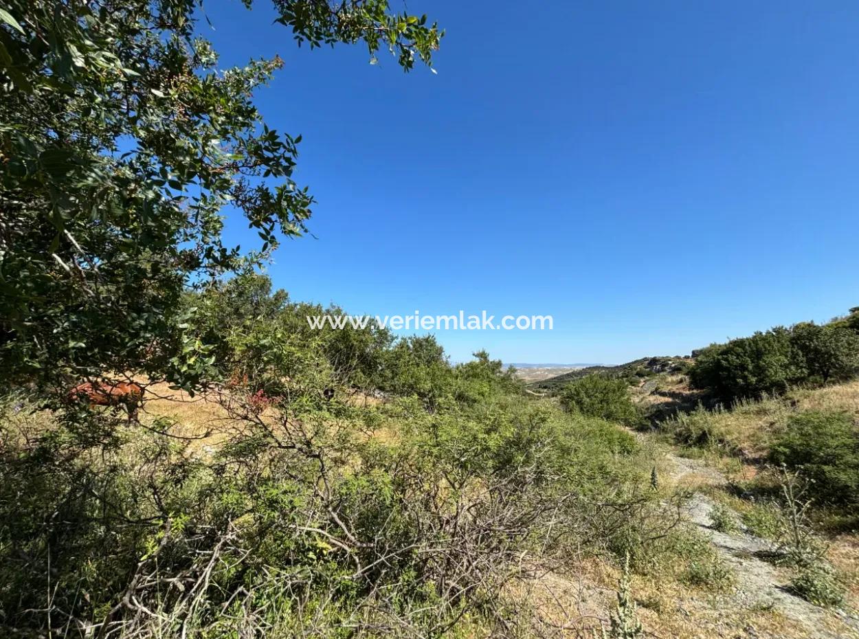 New Zoning Past In Doğanbey Atatürk District, Villa Zoned 311 M² Parcel