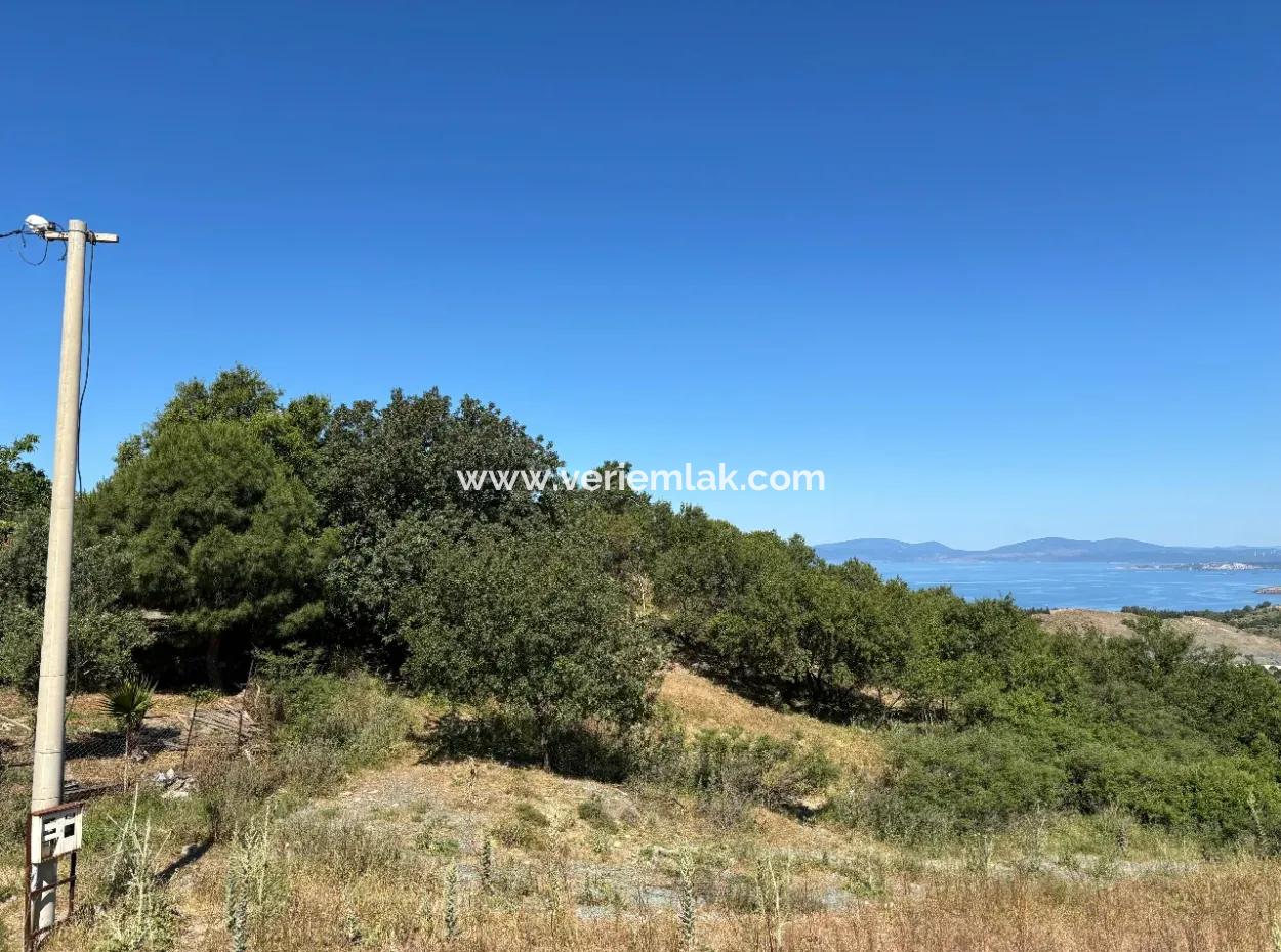 New Zoning Past In Doğanbey Atatürk District, Villa Zoned 311 M² Parcel