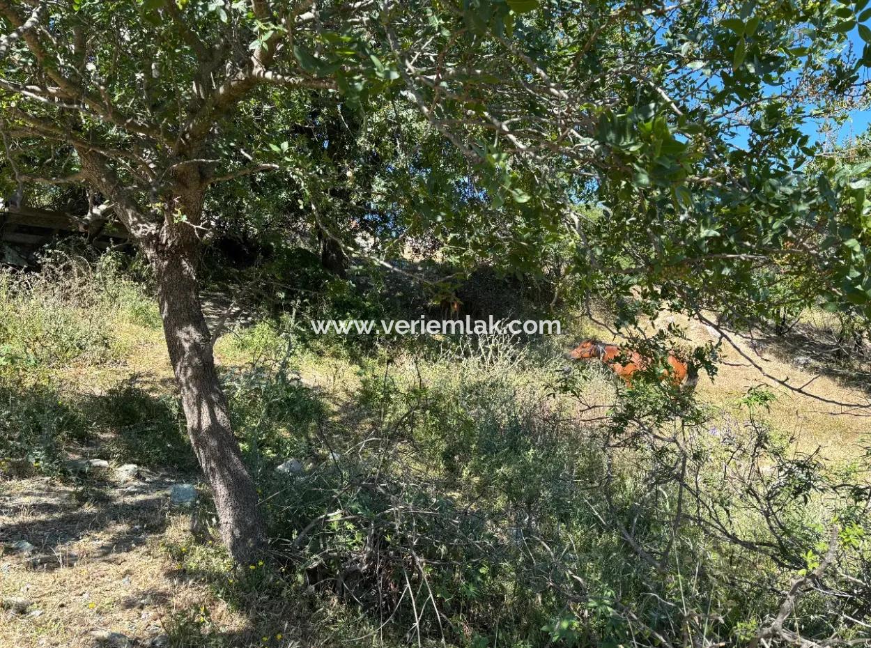 New Zoning Past In Doğanbey Atatürk District, Villa Zoned 311 M² Parcel