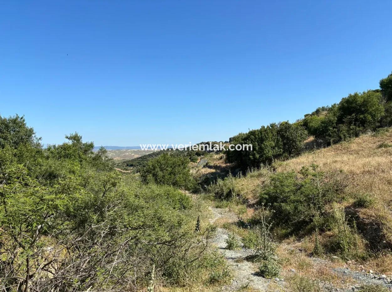 New Zoning Past In Doğanbey Atatürk District, Villa Zoned 311 M² Parcel